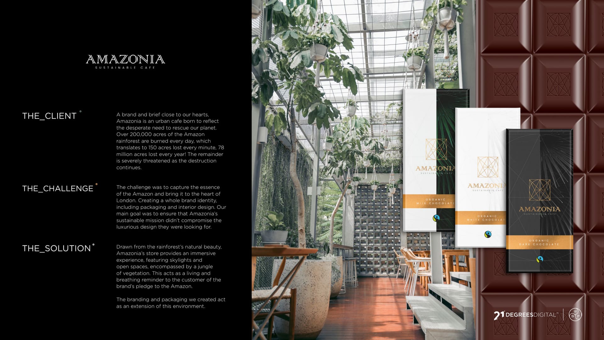 Amazonia sustainable cafe, a lush green interior with the gold brand mark.