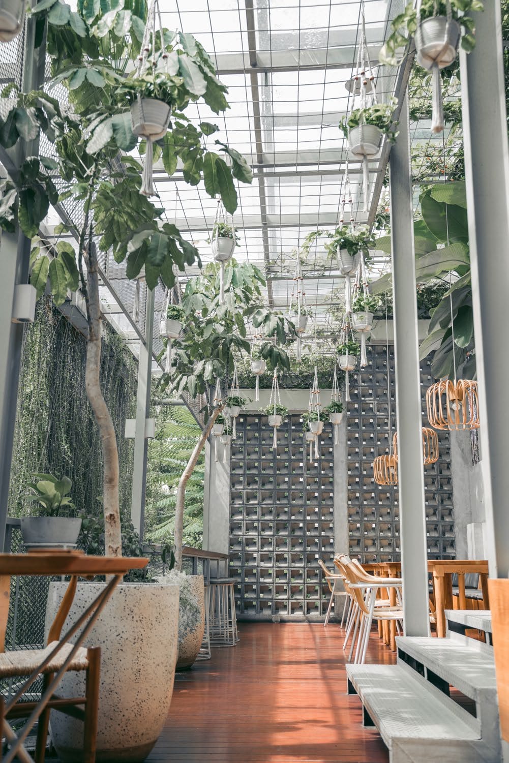 The lush green interior of the Amazonia cafe.