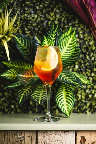 TownHouse cocktail against tropical foliage.